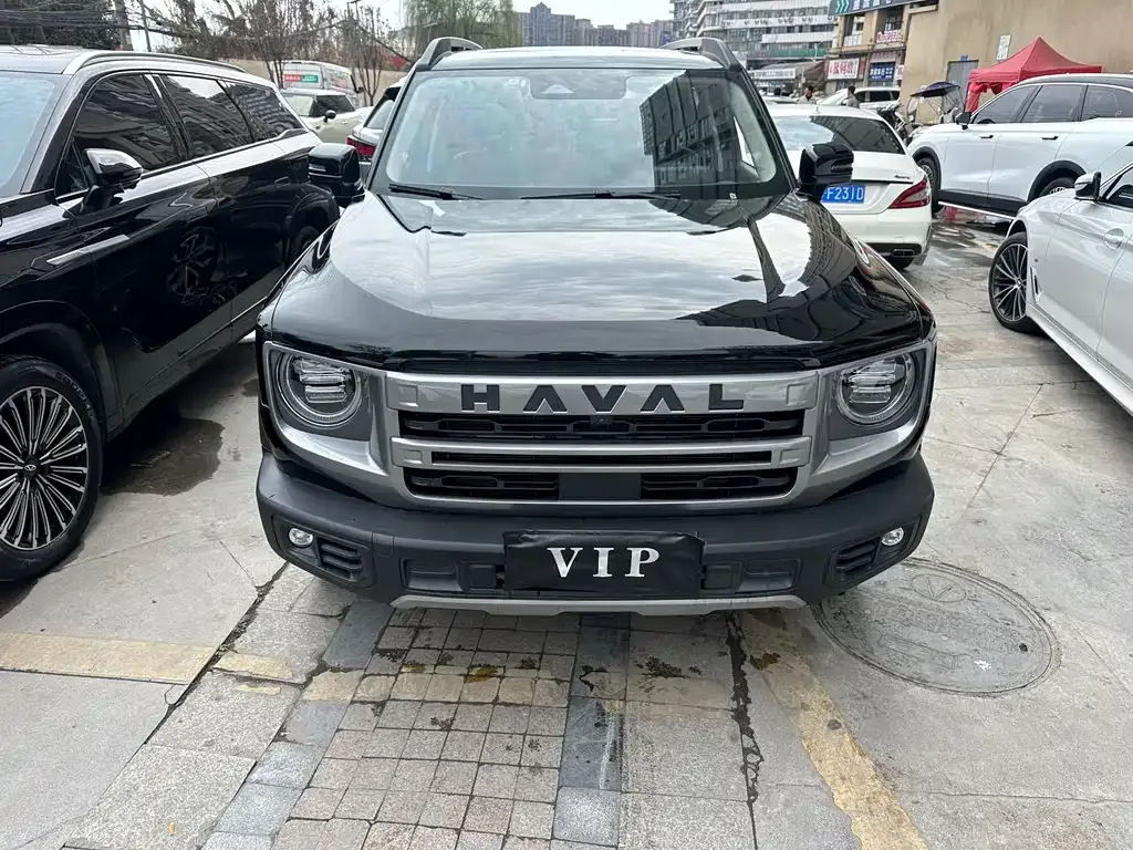 Haval Big Dog 2023 из CN, фото 10
