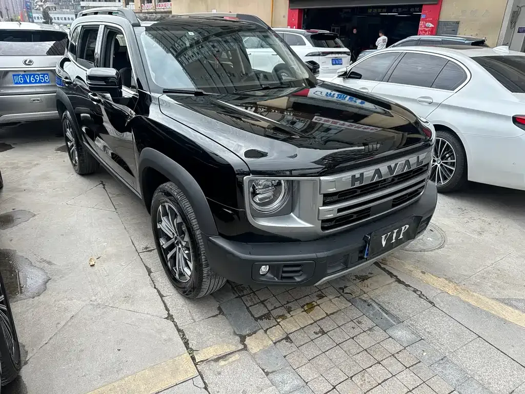 Haval Big Dog 2023 из CN, фото 9