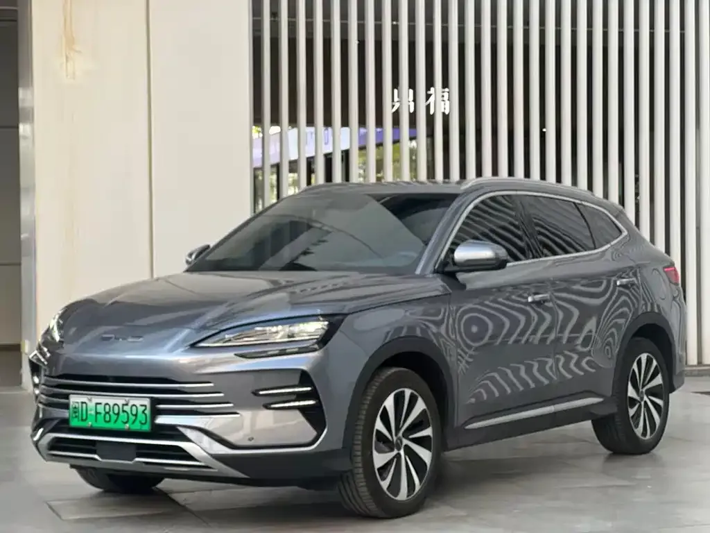BYD PLUS New Energy — фото 1