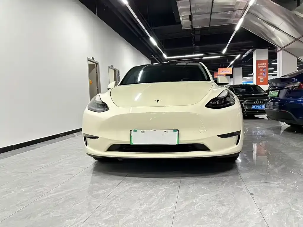Tesla Model Y — фото 1