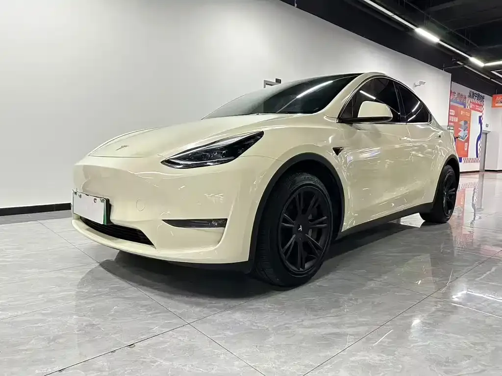 Tesla Model Y — фото 8