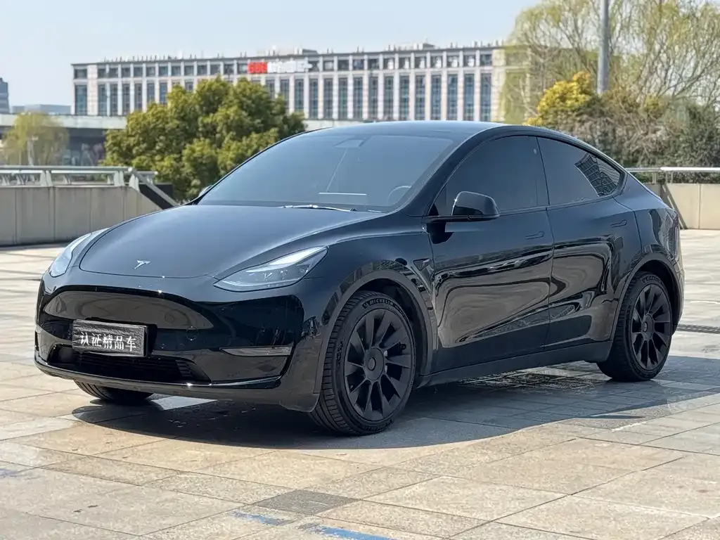 Tesla Model Y — фото 10