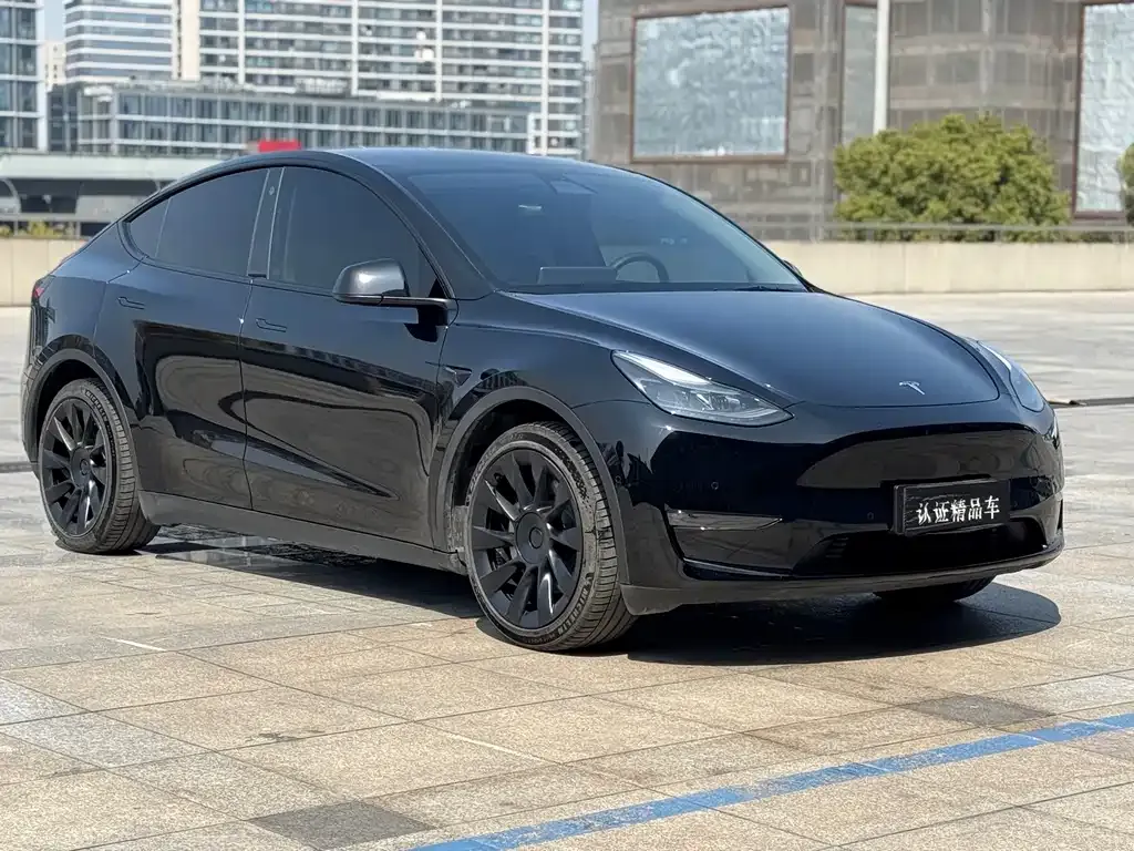Tesla Model Y — фото 9