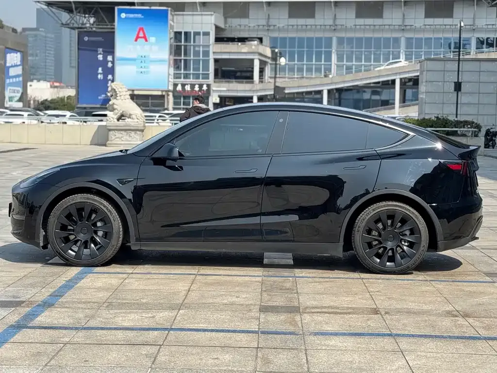 Tesla Model Y — фото 2