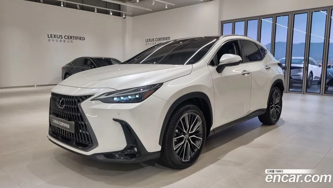 Lexus NX 2025 из KR, фото 1