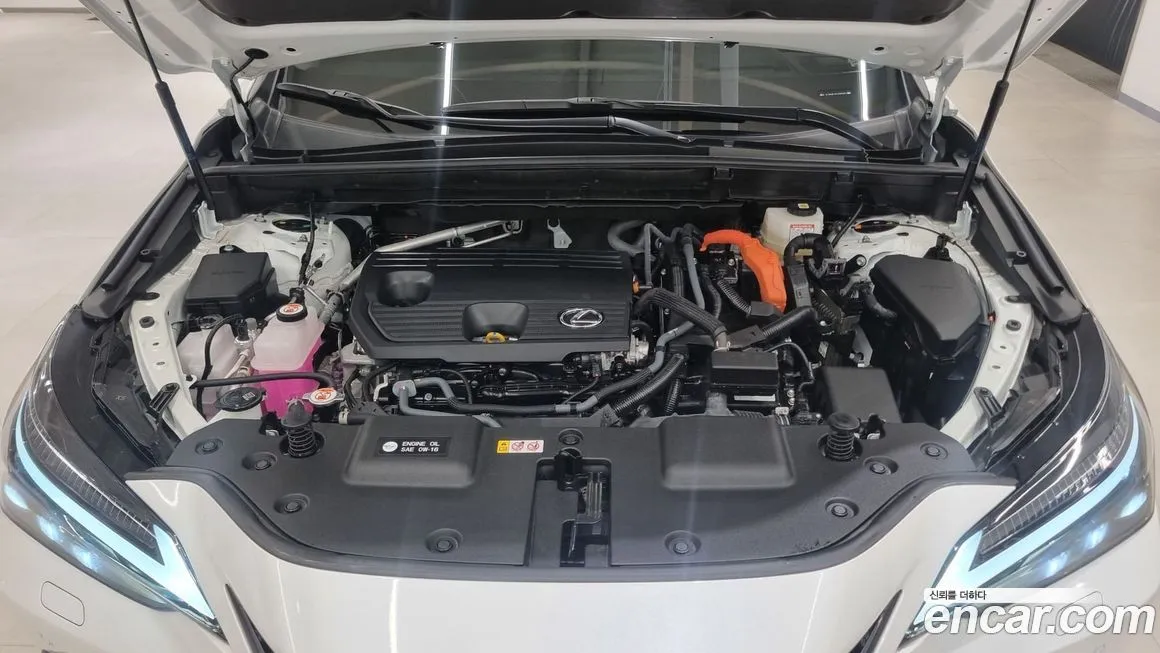 Lexus NX 2025 из KR, фото 10
