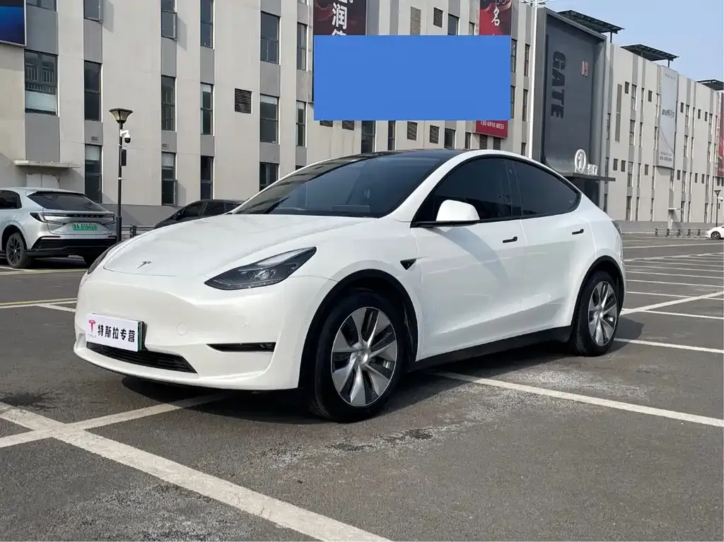 Tesla Model Y 2022 из CN, фото 1