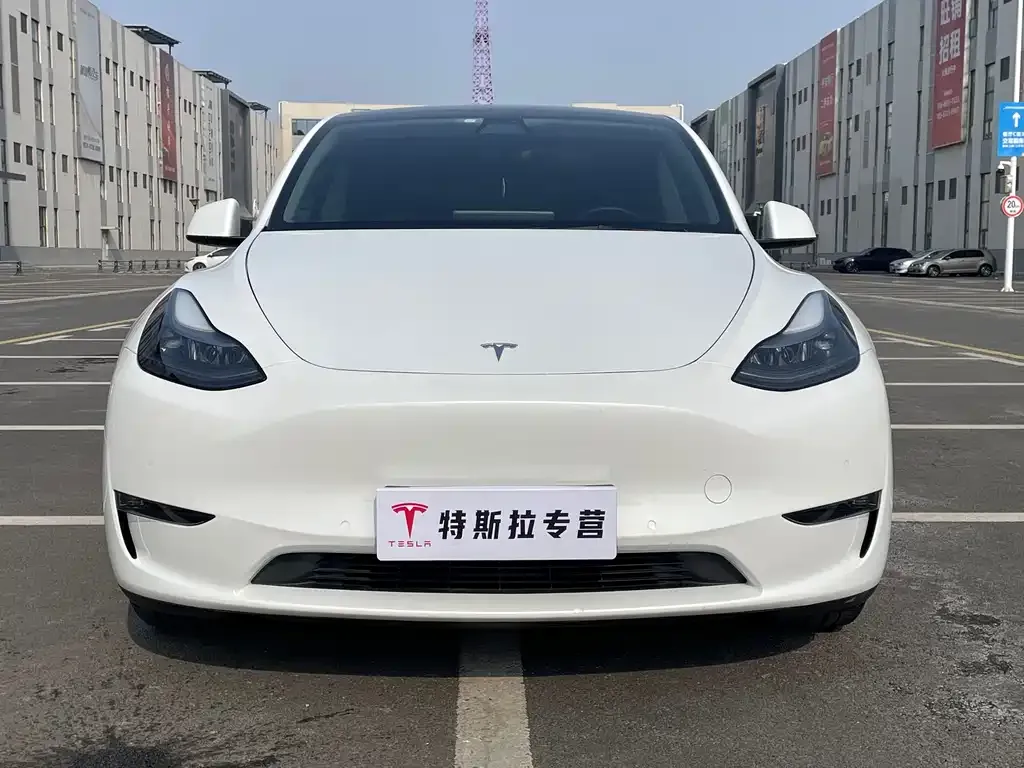Tesla Model Y 2022 из CN, фото 7
