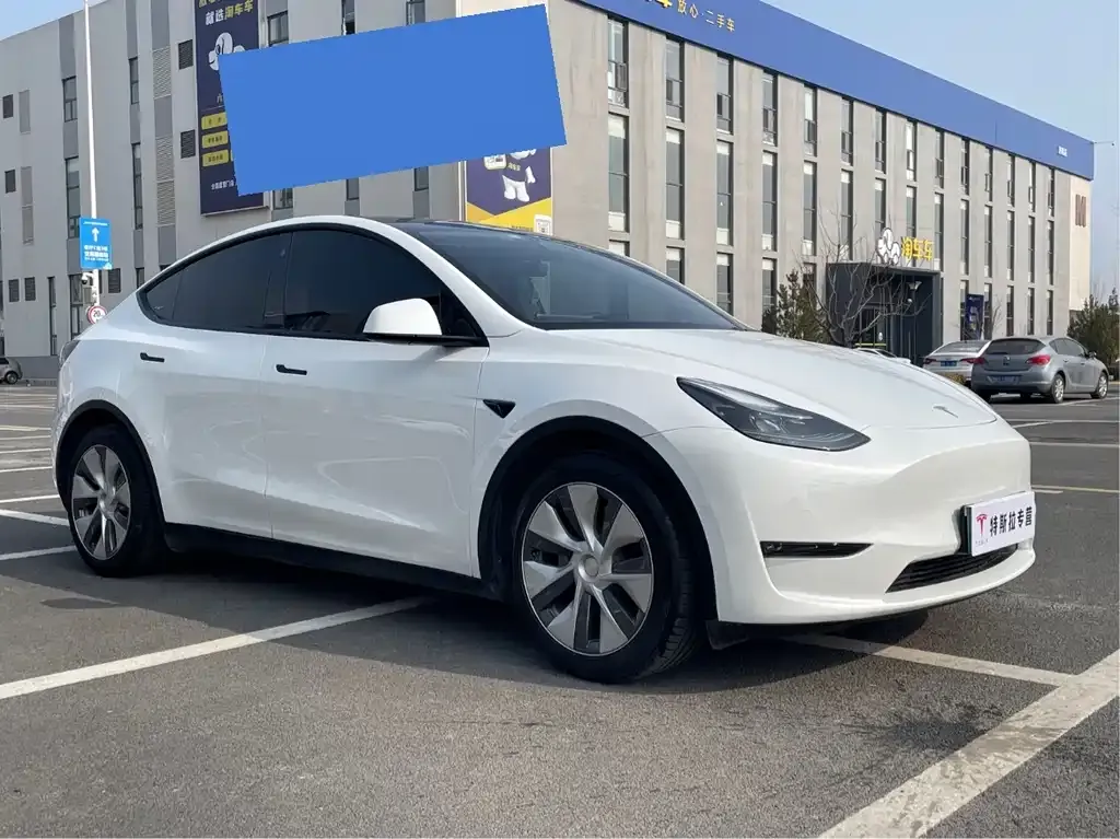 Tesla Model Y 2022 из CN, фото 8