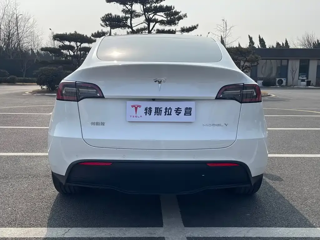 Tesla Model Y 2022 из CN, фото 4