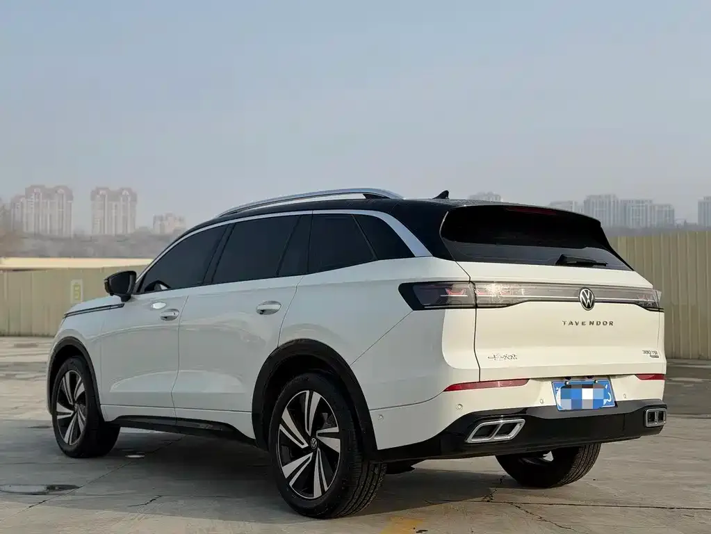 Volkswagen Tavendor 2023 из CN, фото 2