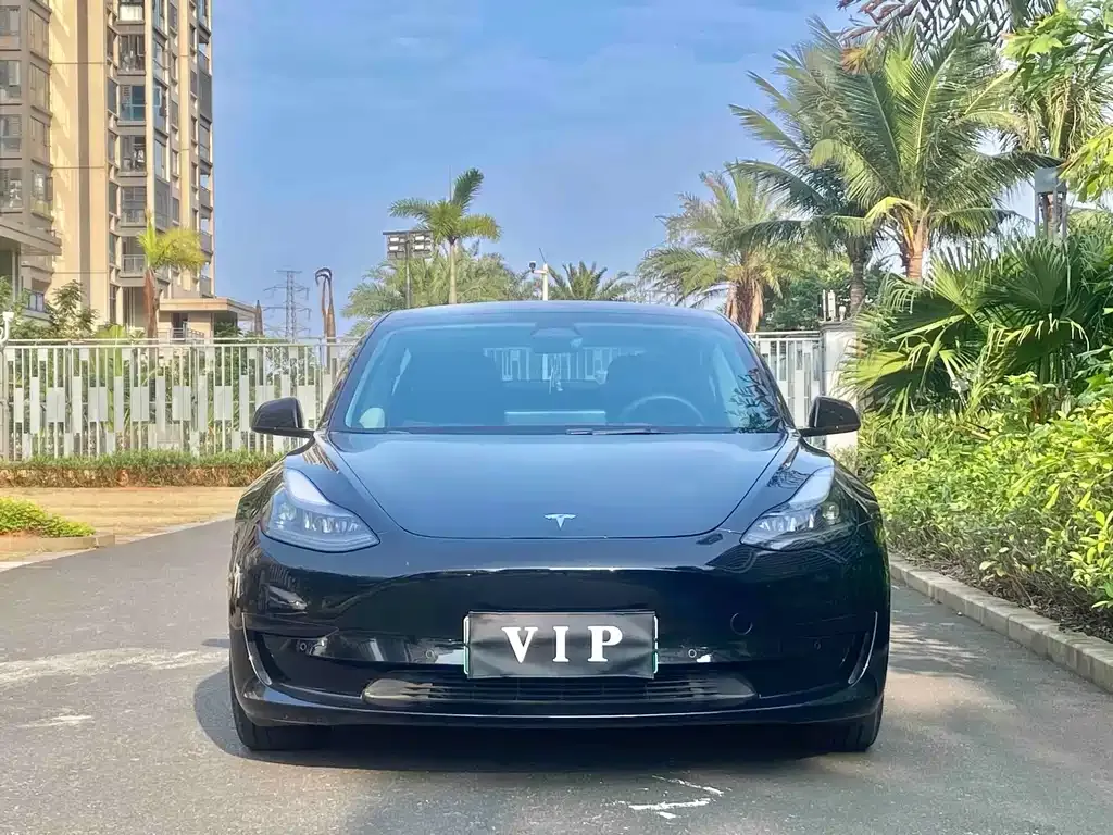 Tesla Model 3 — фото 2