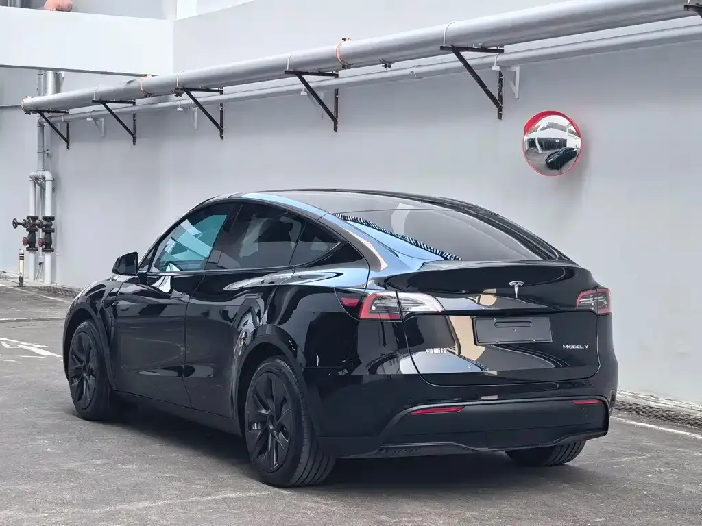 Tesla Model Y — фото 9