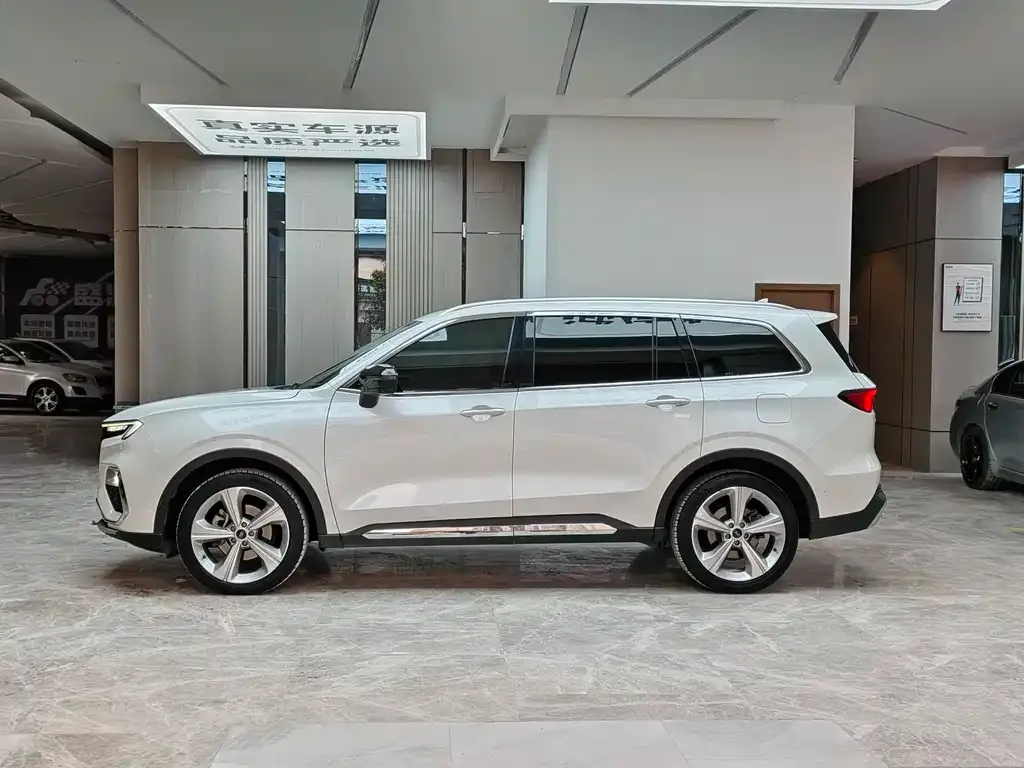 Ford Territory 2021 из CN, фото 8