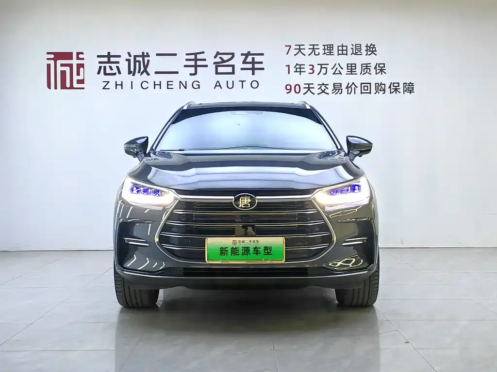 BYD Tang New Energy — фото 8