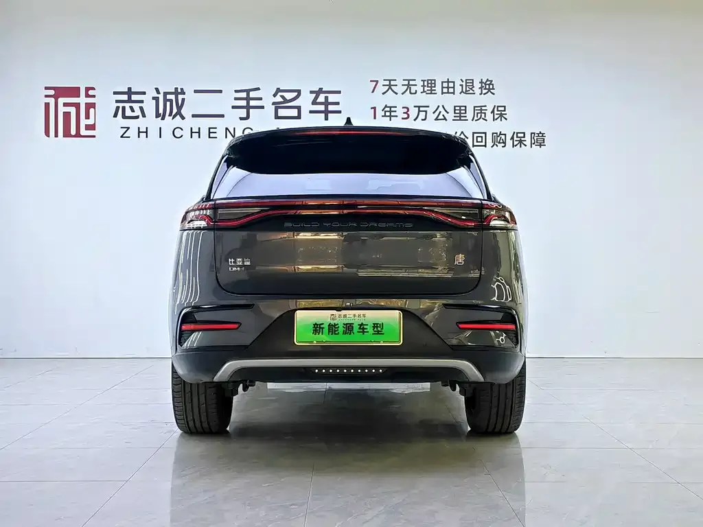 BYD Tang New Energy — фото 3