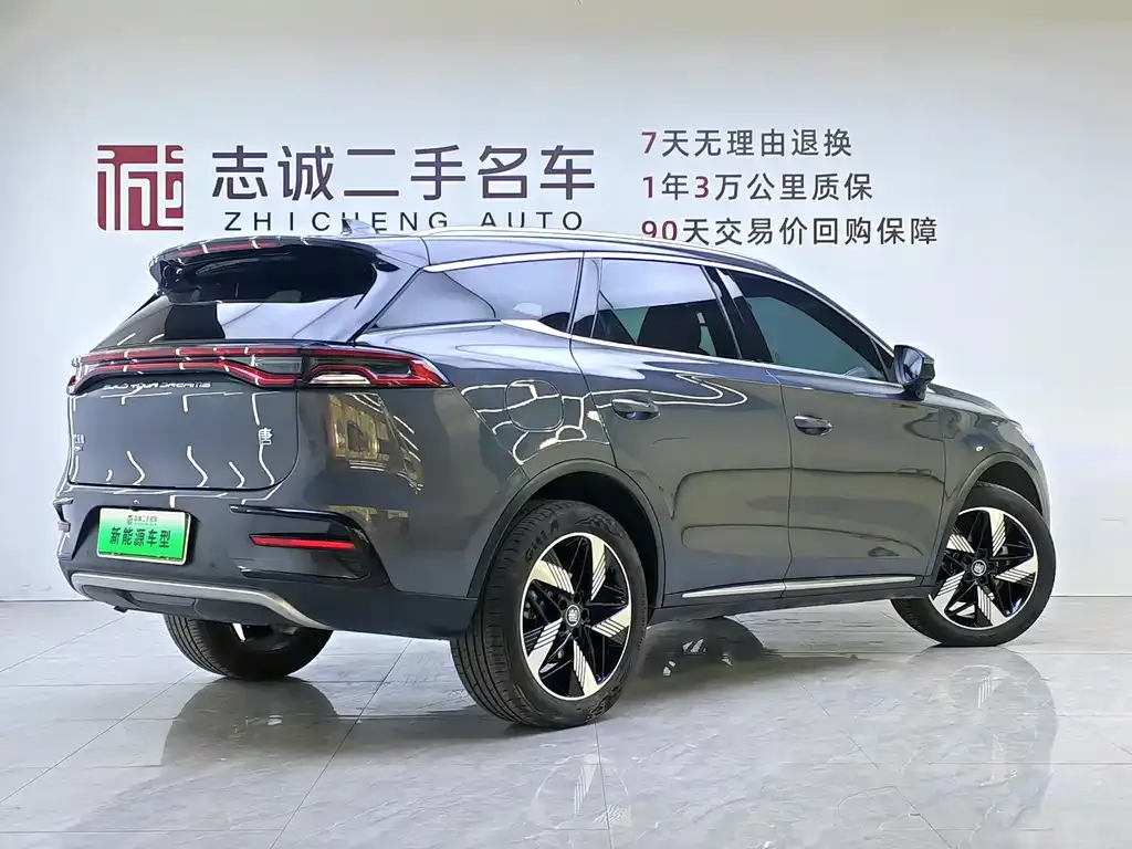 BYD Tang New Energy — фото 10