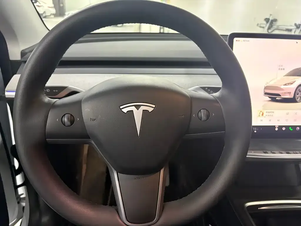 Tesla Model Y — фото 3