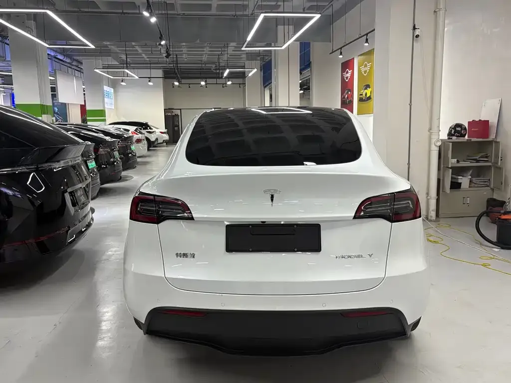 Tesla Model Y — фото 9