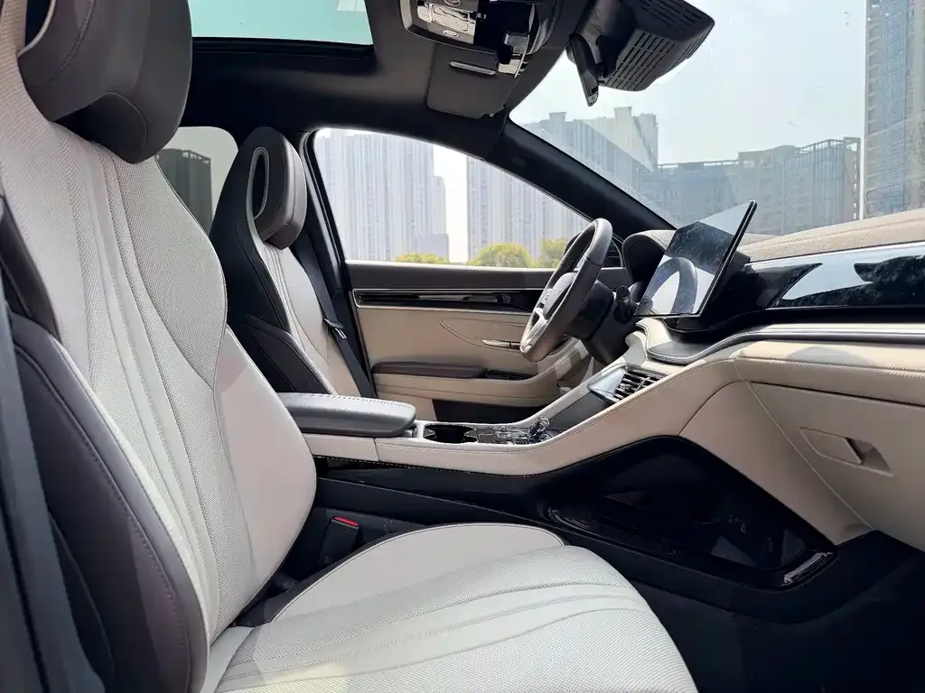 BYD PLUS New Energy — фото 10