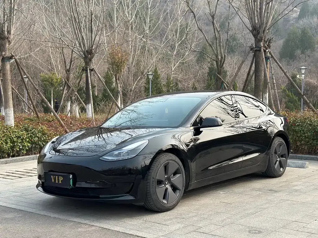 Tesla Model 3 2021 из CN, фото 1