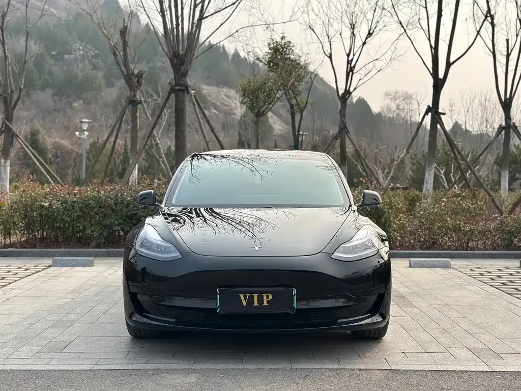 Tesla Model 3 2021 из CN, фото 5