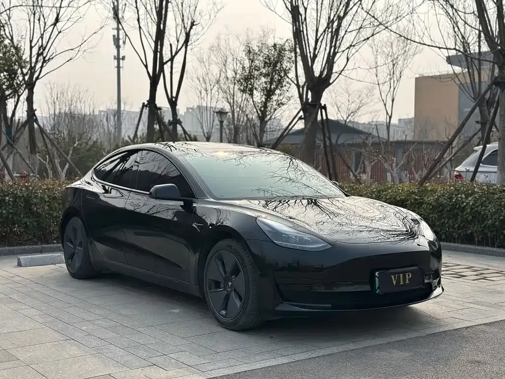 Tesla Model 3 2021 из CN, фото 3