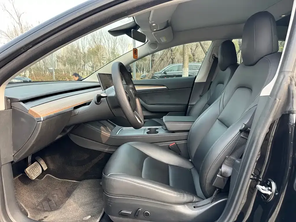 Tesla Model 3 2021 из CN, фото 6