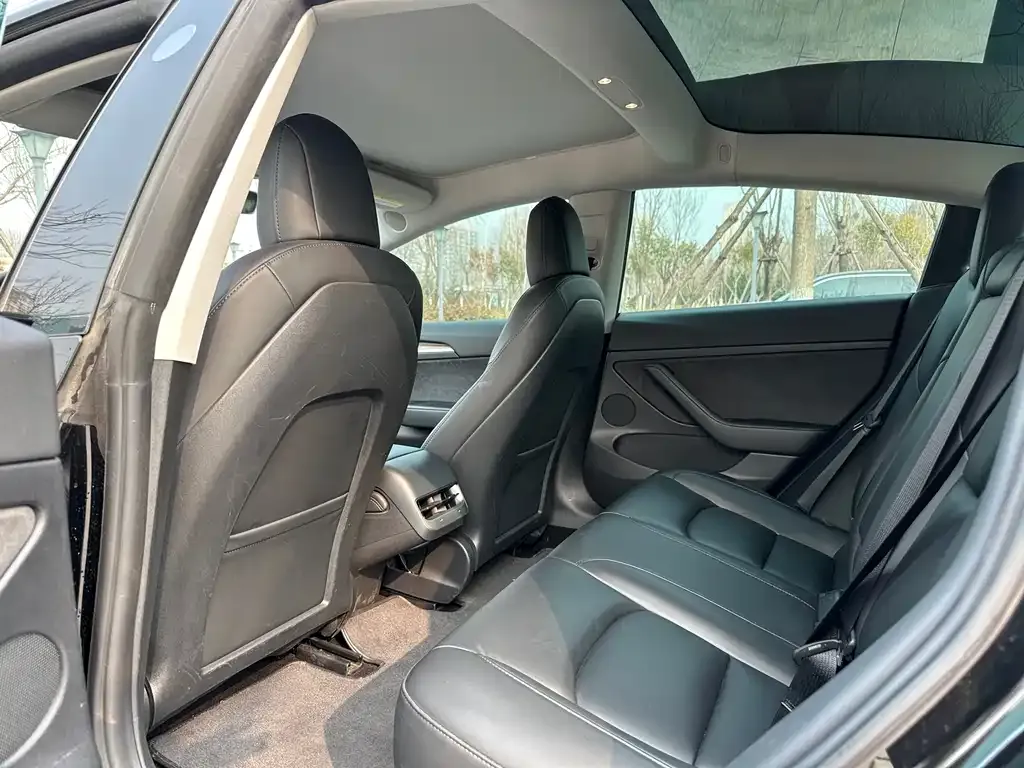 Tesla Model 3 2021 из CN, фото 7