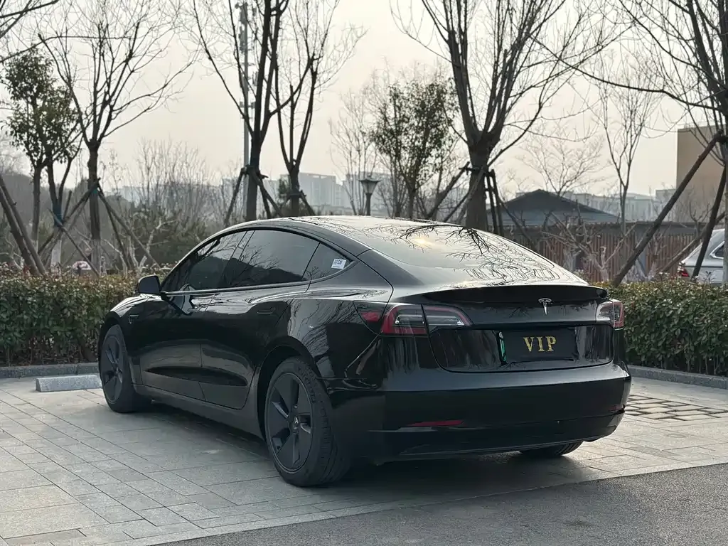 Tesla Model 3 2021 из CN, фото 9
