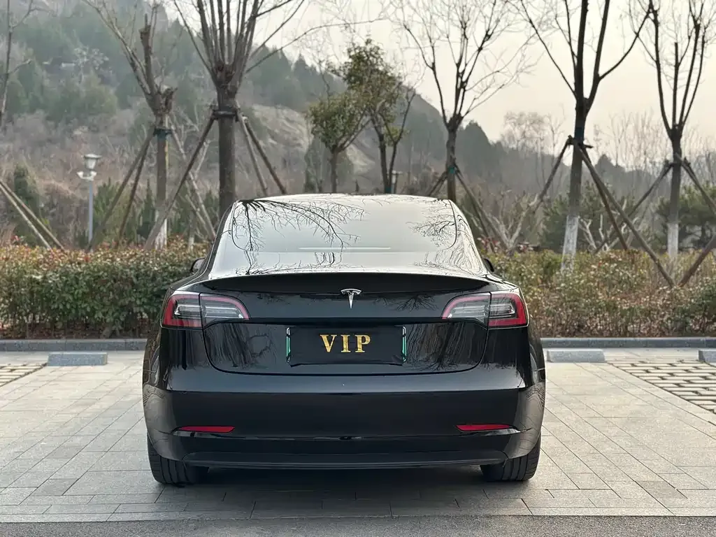Tesla Model 3 2021 из CN, фото 2
