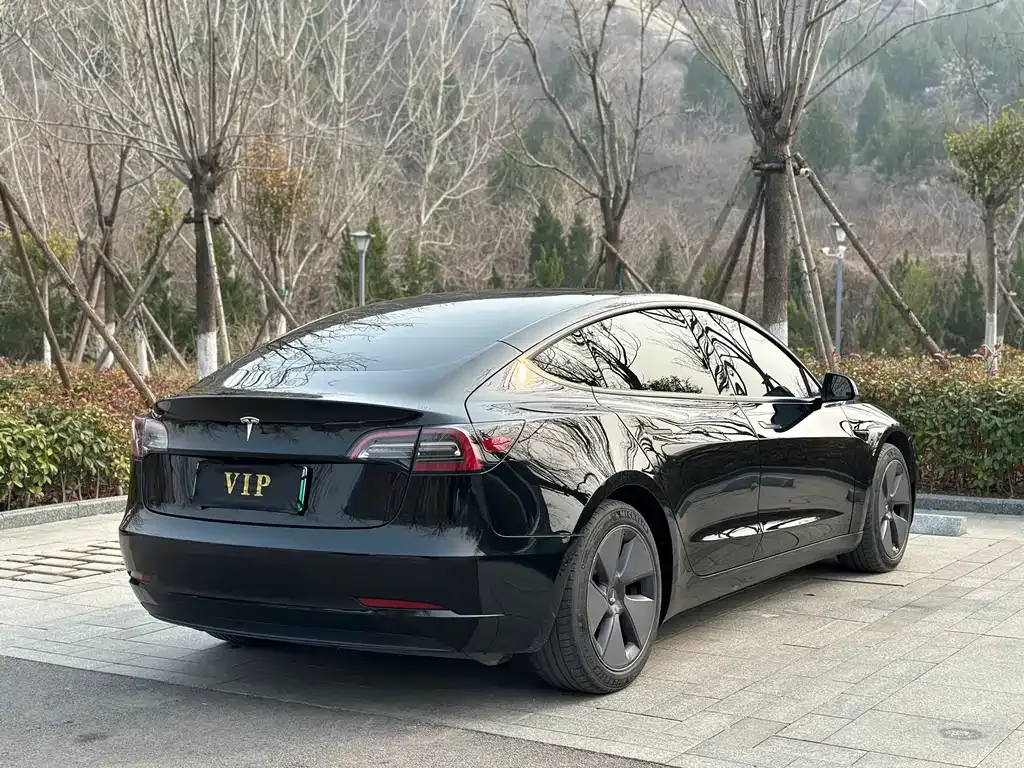 Tesla Model 3 2021 из CN, фото 8