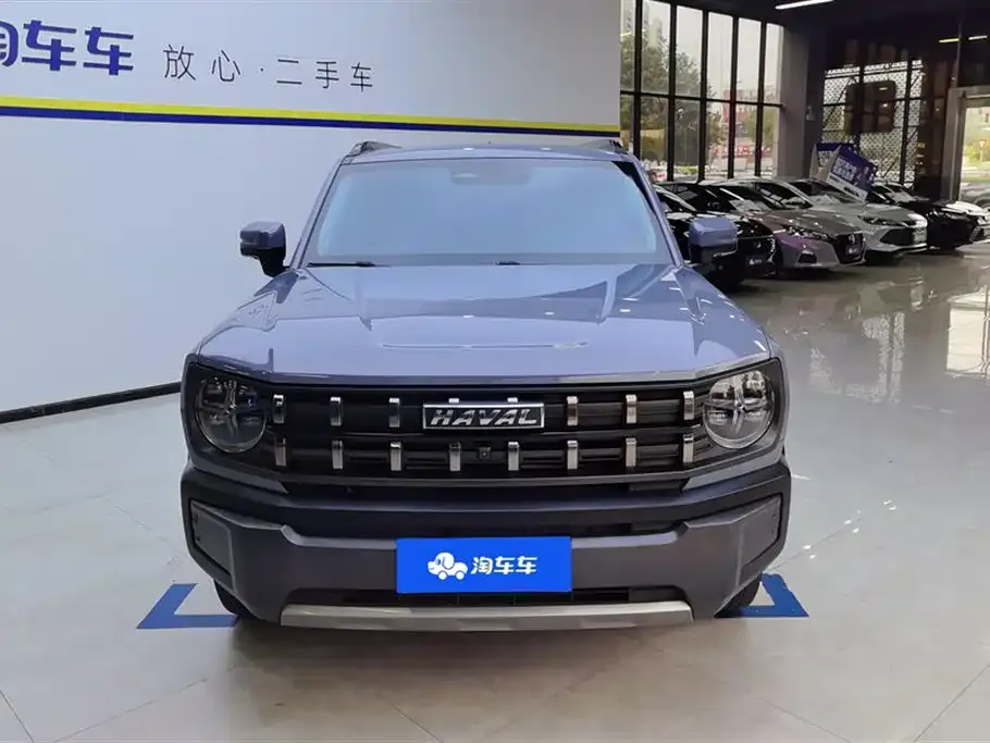 Haval Cool Dog 2023 из CN, фото 7