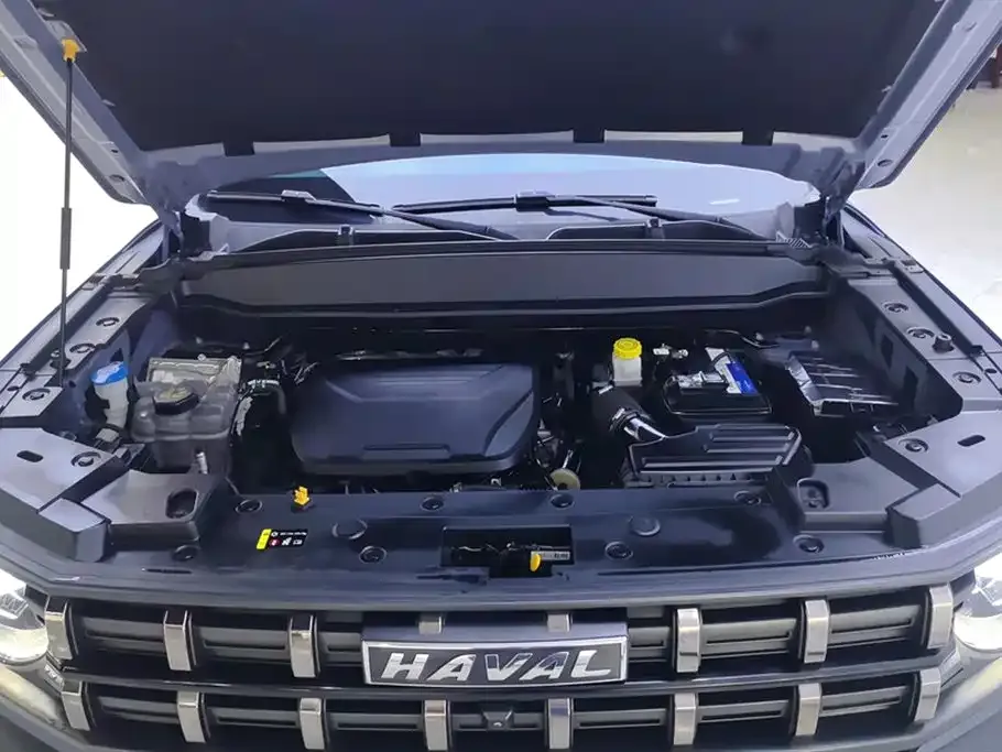 Haval Cool Dog 2023 из CN, фото 9