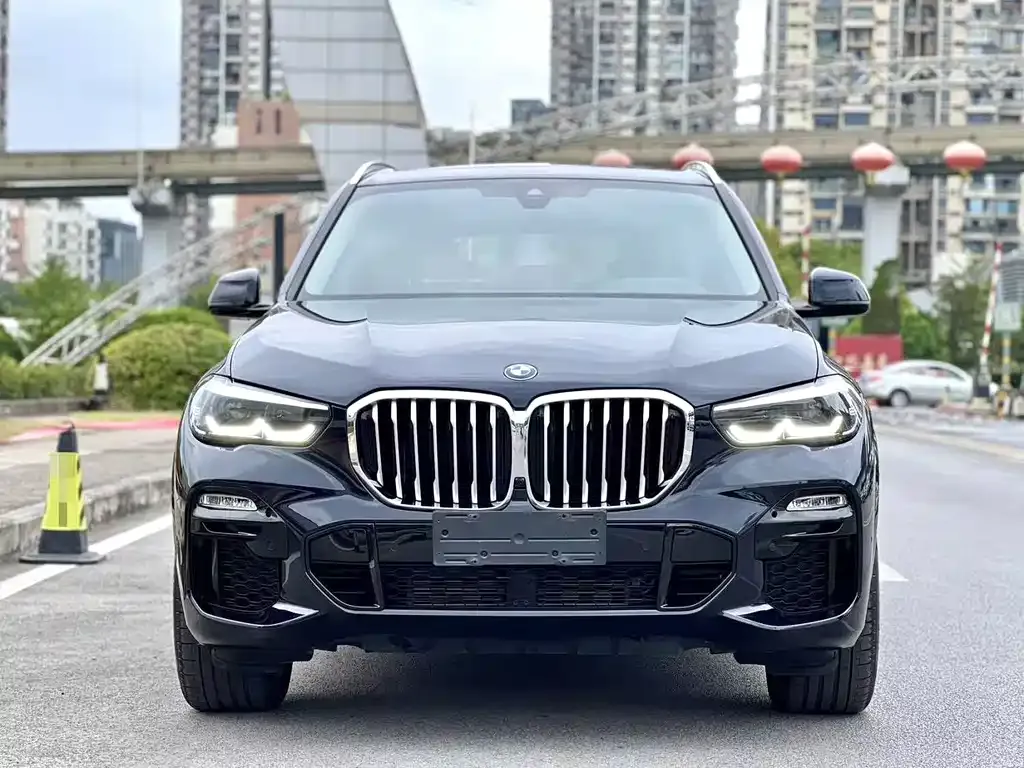 BMW X5 (Import) 2021 из CN, фото 9