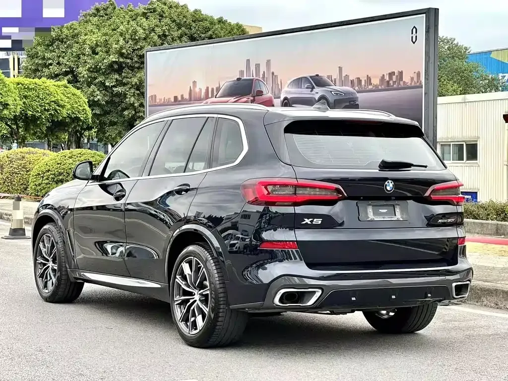 BMW X5 (Import) 2021 из CN, фото 8