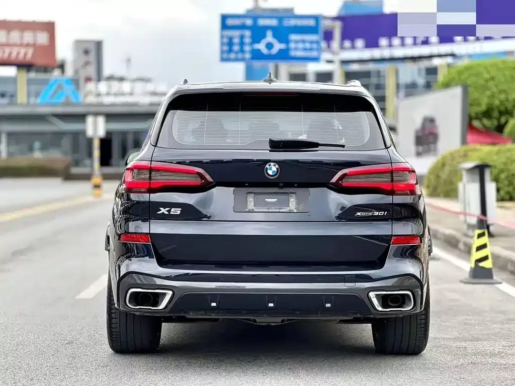 BMW X5 (Import) 2021 из CN, фото 4