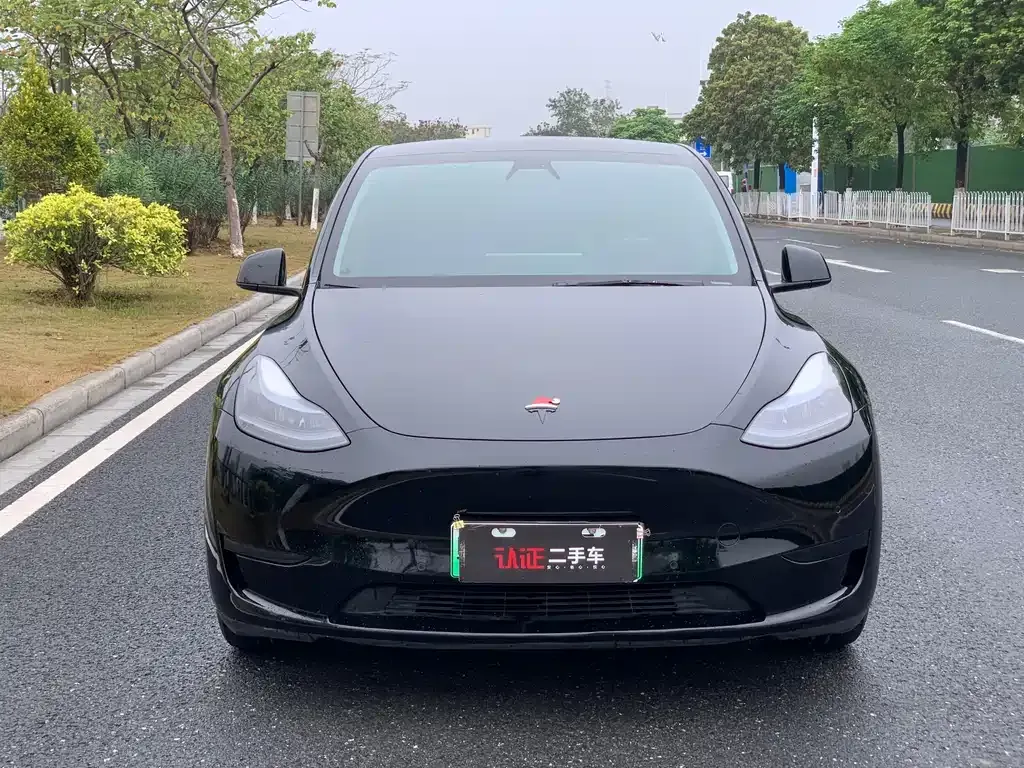 Tesla Model Y — фото 8