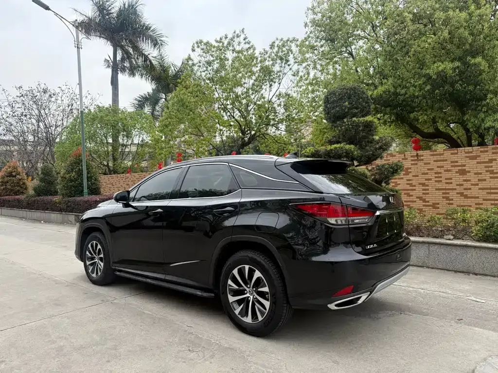Lexus RX — фото 7