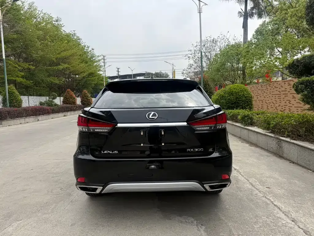Lexus RX — фото 8