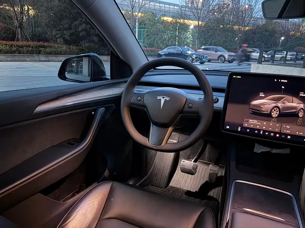 Tesla Model Y 2023 из CN, фото 10