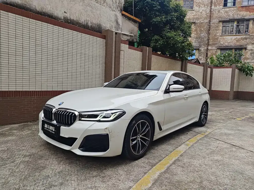 BMW 5 Series (Import) — фото 1