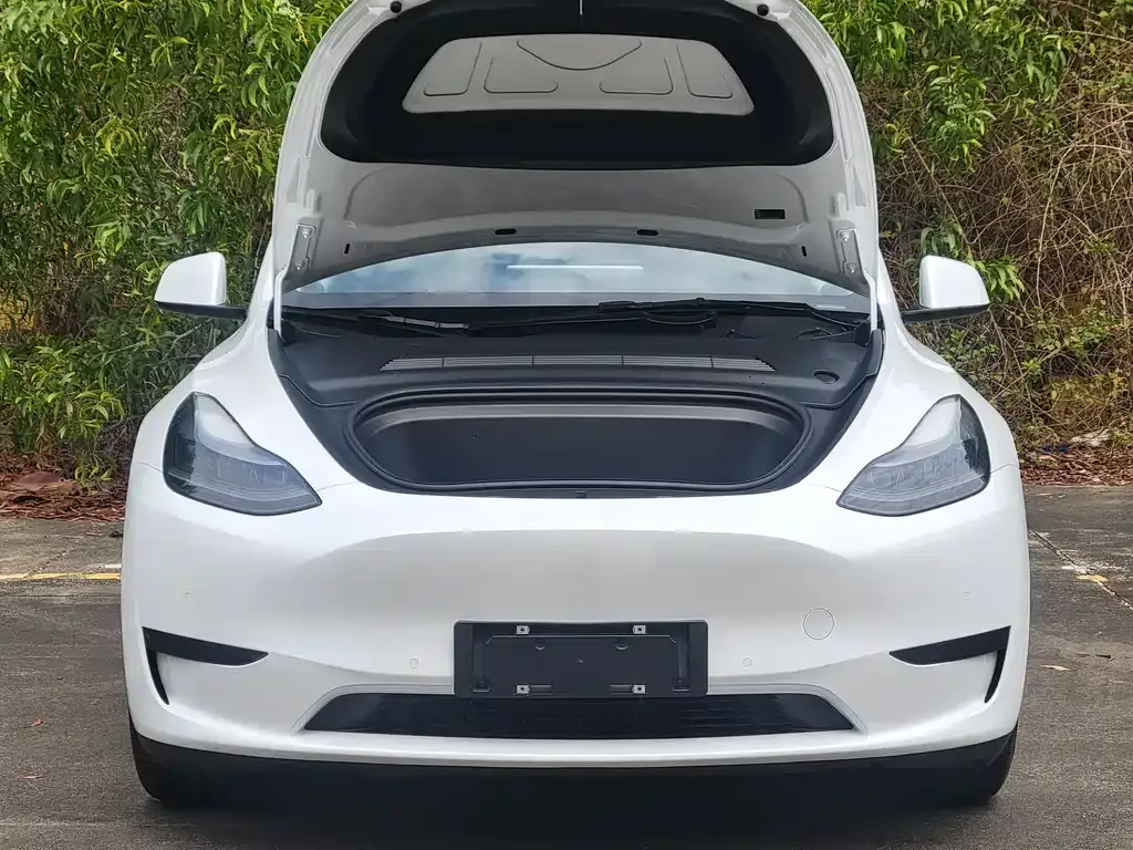Tesla Model Y — фото 9