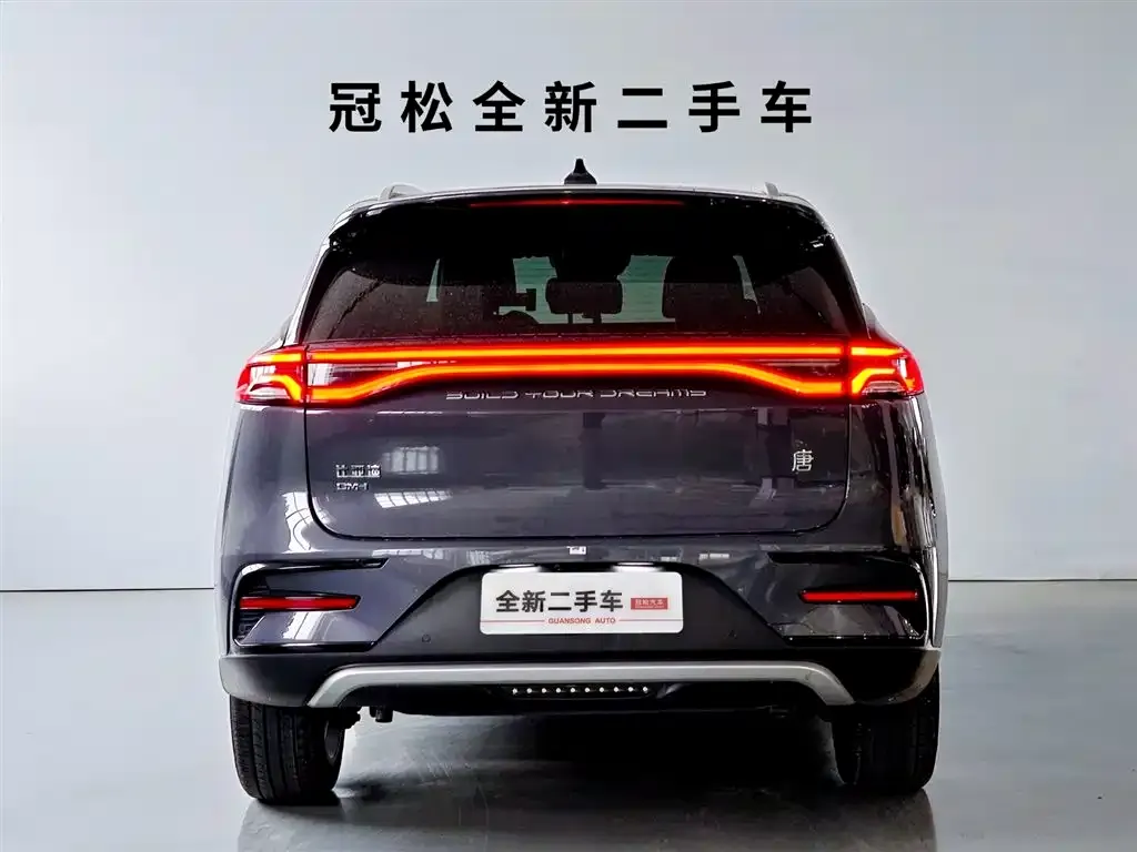 BYD Tang New Energy 2022 из CN, фото 5