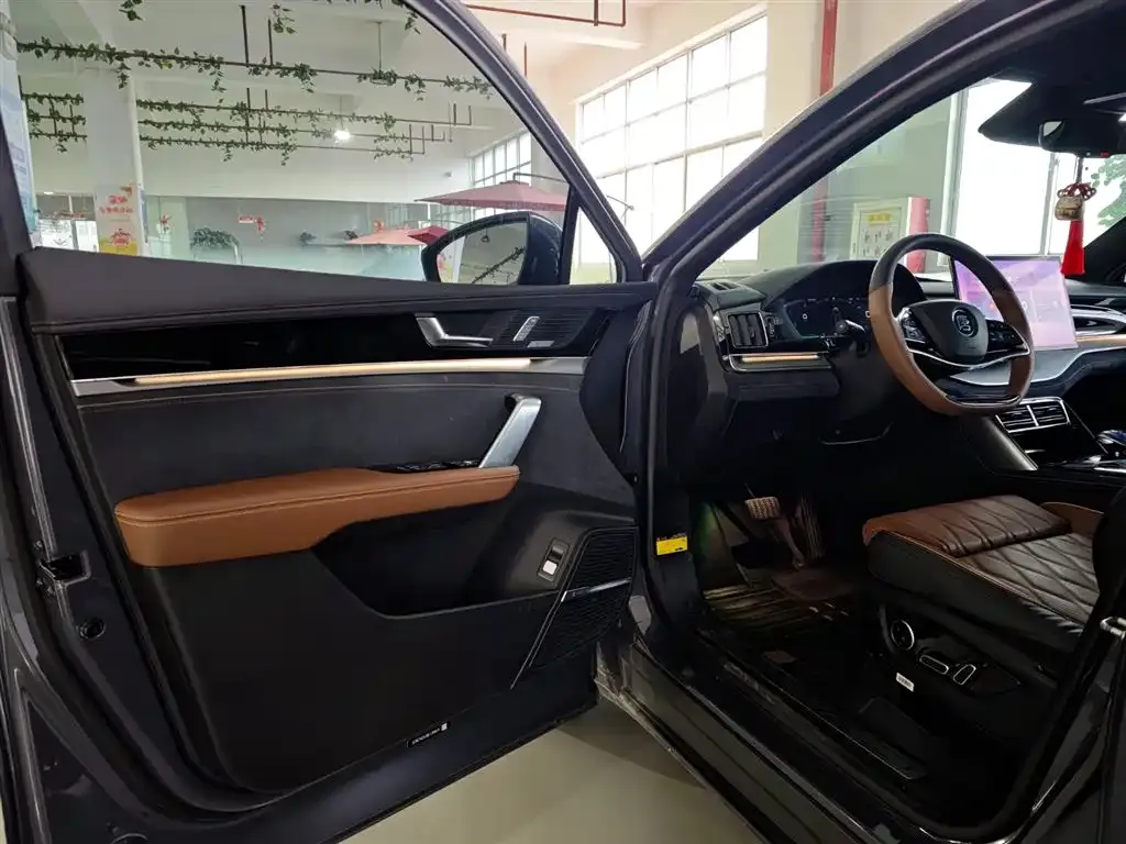 BYD Tang New Energy 2022 из CN, фото 6