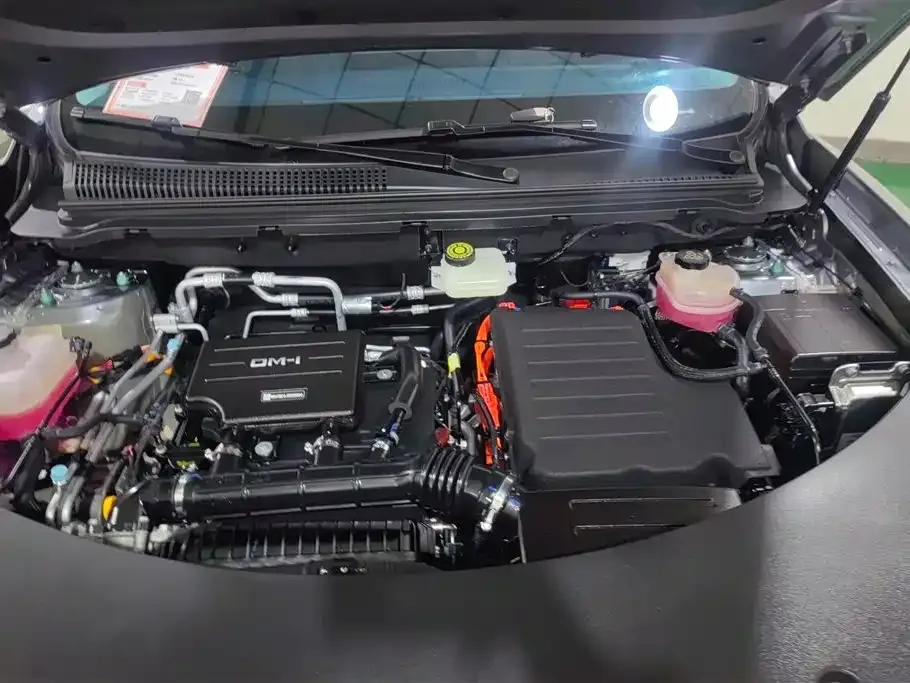 BYD Pro New Energy — фото 4