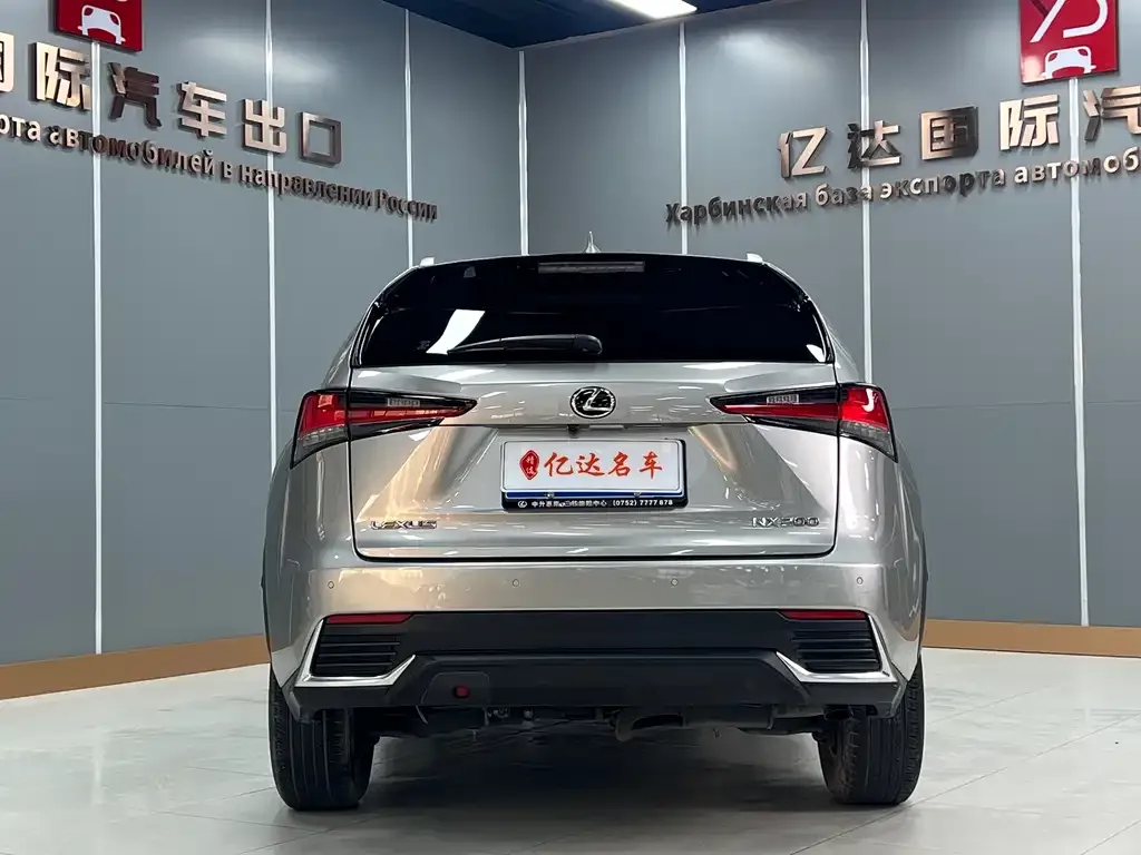 Lexus NX 2021 из CN, фото 3