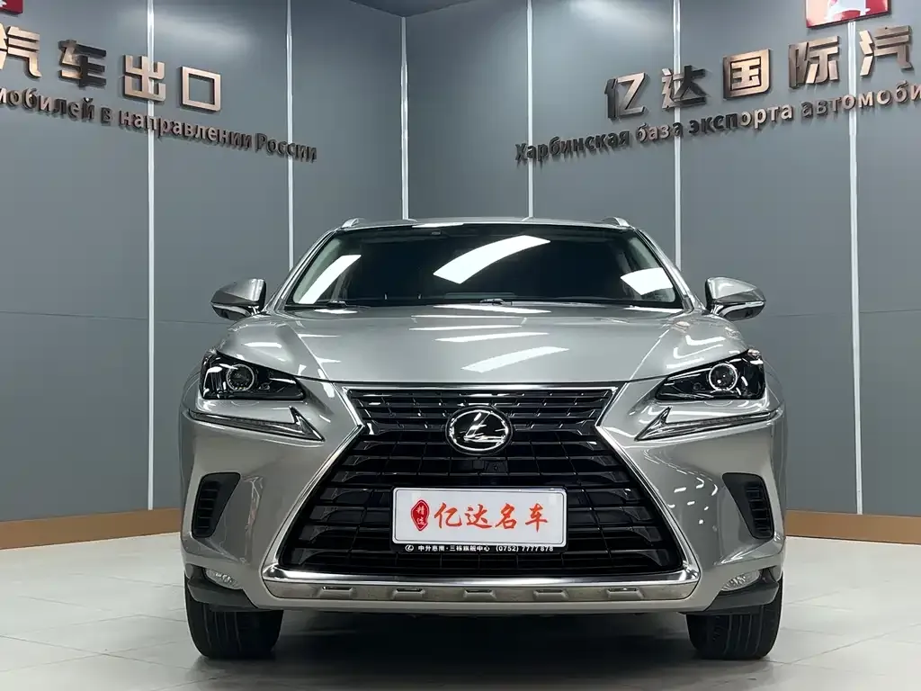 Lexus NX 2021 из CN, фото 4