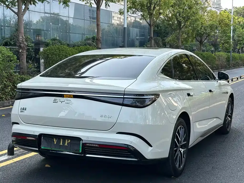 BYD Seal 07 DM-i 2024 из CN, фото 6