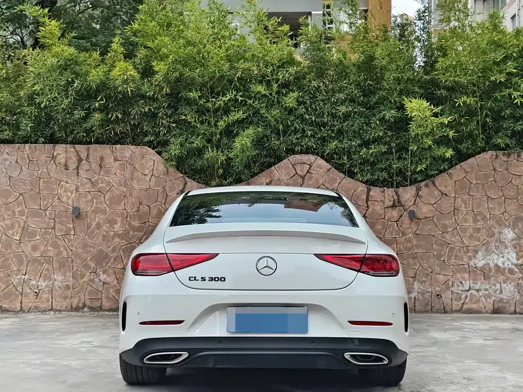 Mercedes-Benz CLS 2021 из CN, фото 4